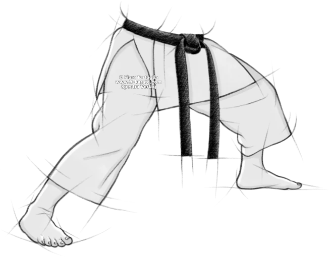 Fudo-dachi legs
