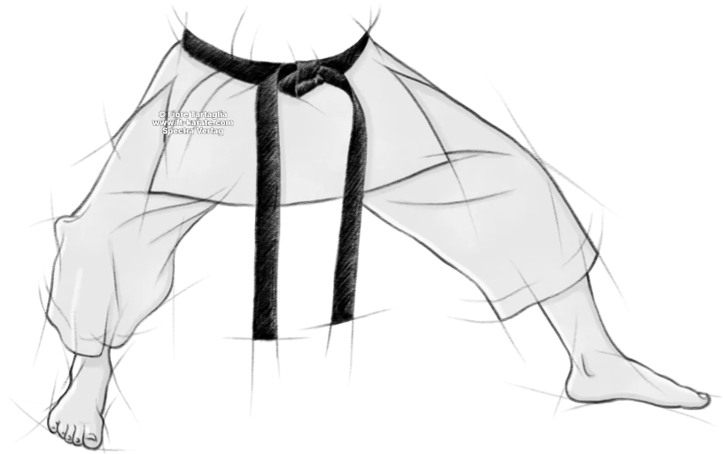 Kokutsu-dachi legs