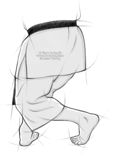 Kosa-dachi legs