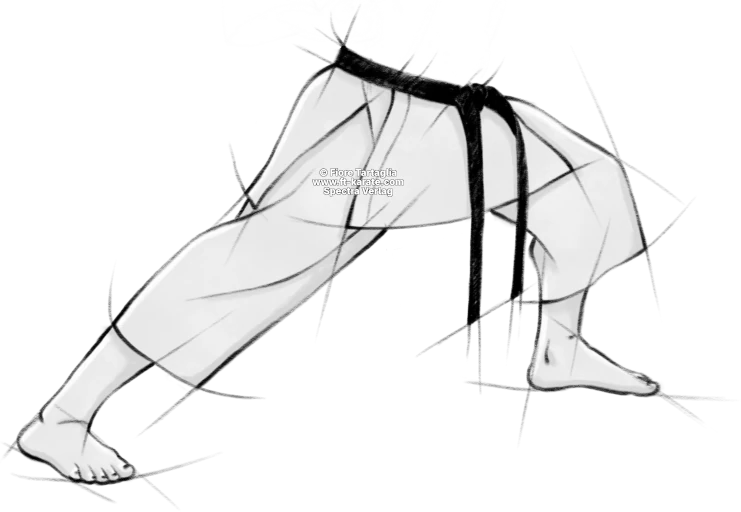 Zenkutsu-dachi legs